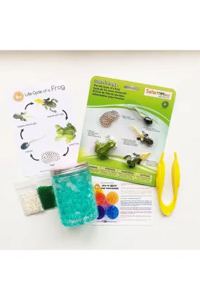 Frog Life Cycle Learning Kit